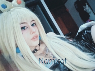 Namicat