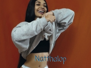 Natthalop