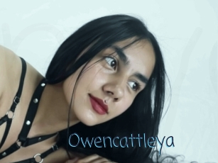 Owencattleya