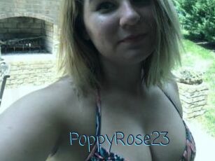 PoppyRose23