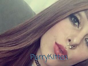 PurryKitten