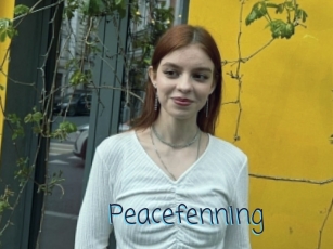 Peacefenning