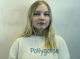 Pollygorse