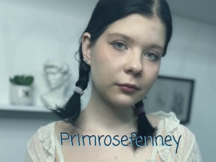 Primrosefenney