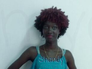 Shandy