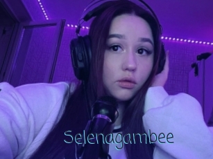 Selenagambee