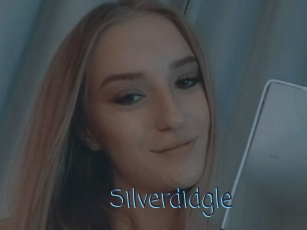 Silverdidgle