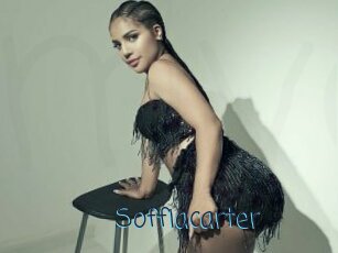 Soffiacarter