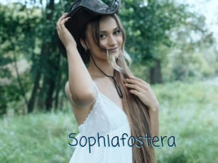 Sophiafostera