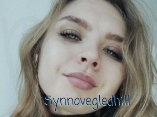 Synnovegledhill