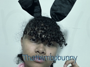 Thatbimbobunny