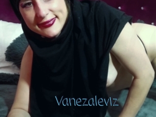 Vanezaleviz