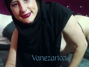 Vanezaricci