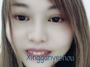 Xingganyeshou