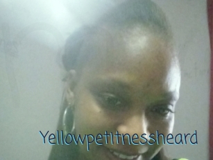 Yellowpetitnessheard