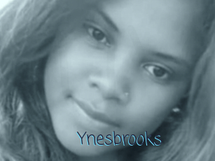 Ynesbrooks