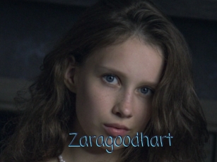 Zaragoodhart